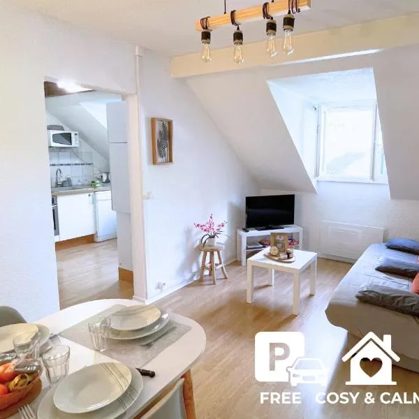 Gîte cosy et paisible près de La Mongie, hotel v destinaci Campan