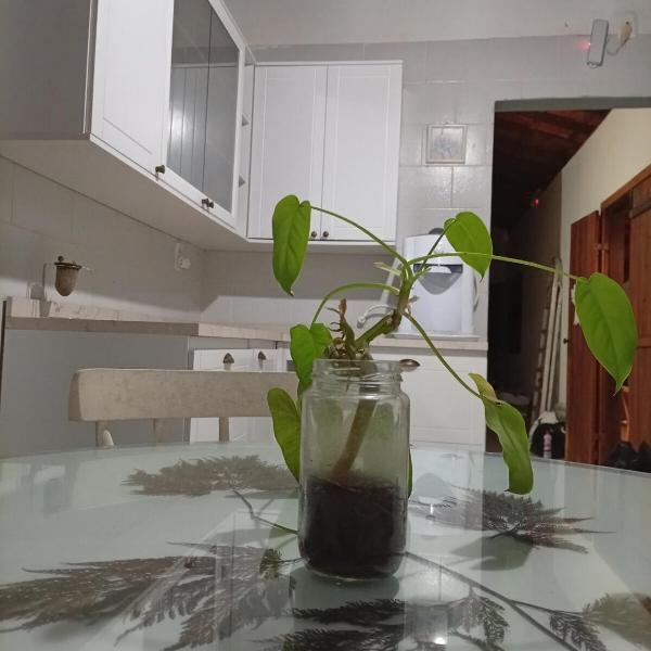 Casa Beija Flor - Foto 3