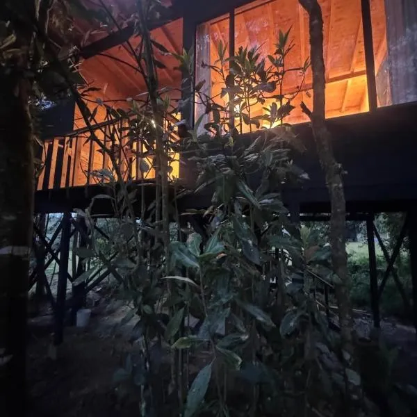 Boheme Cabin, Hotel in Medellín