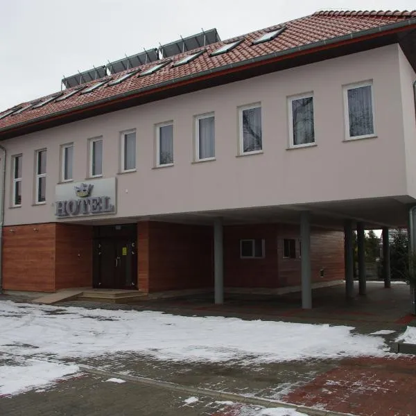 Hotel Pod Złotą Koroną, hotel v destinaci Opolí