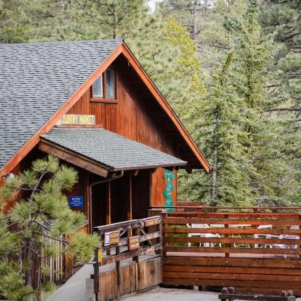 아이딜와일드에 위치한 호텔 Idyllwild Camping Resort Cottage