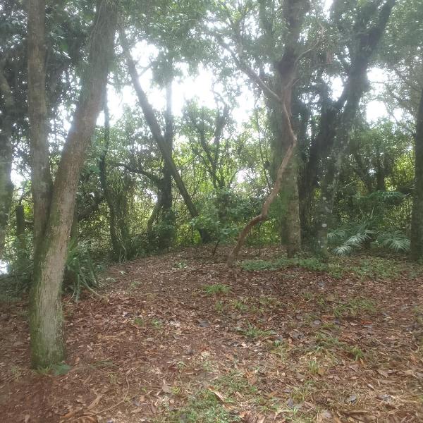 Ibira Camping - Foto 3