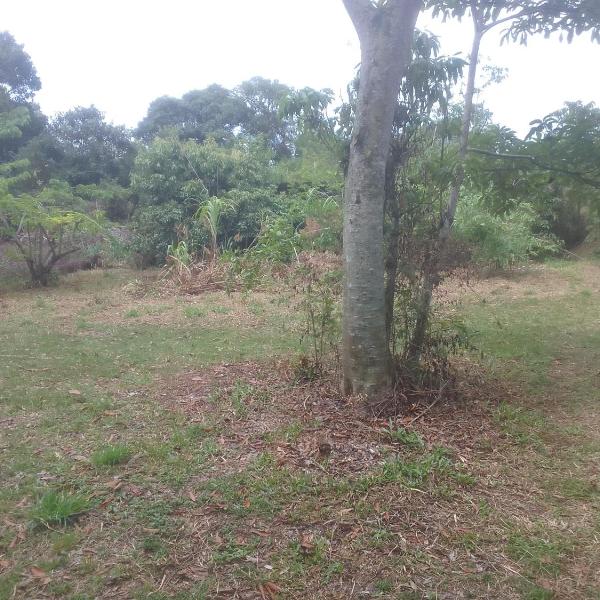 Ibira Camping - Foto 4