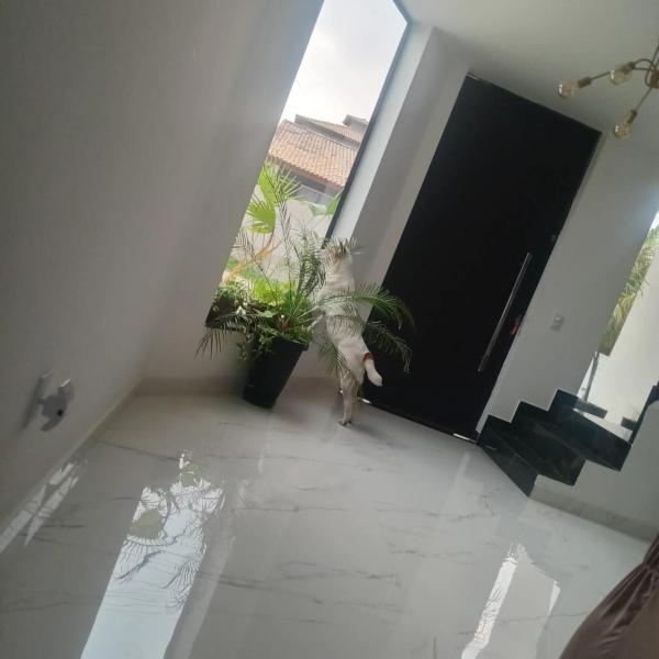 Perfeita casa espaçosa em São Pedro da Aldeia - Foto 3