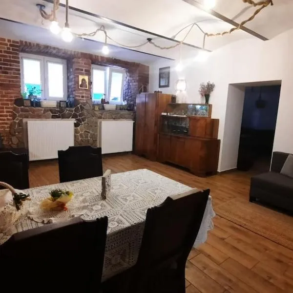 Przestronny apartament w centrum miasta, Hotel in Przemyśl