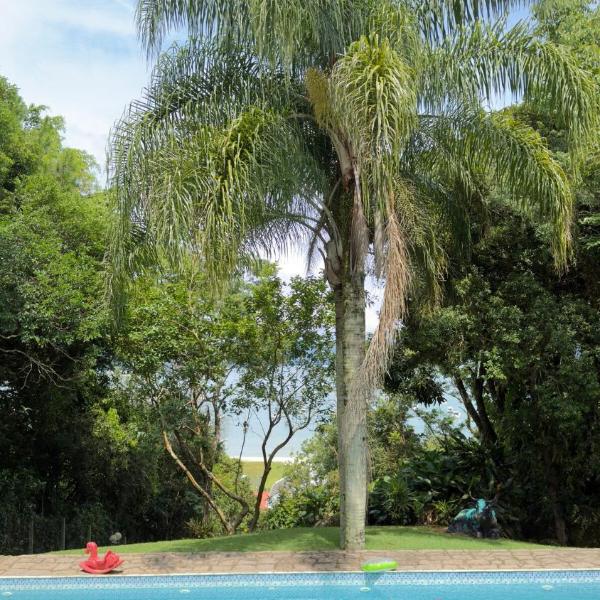 Apartment in Jurerê with 3 bedrooms and Jacuzzi - Foto 4