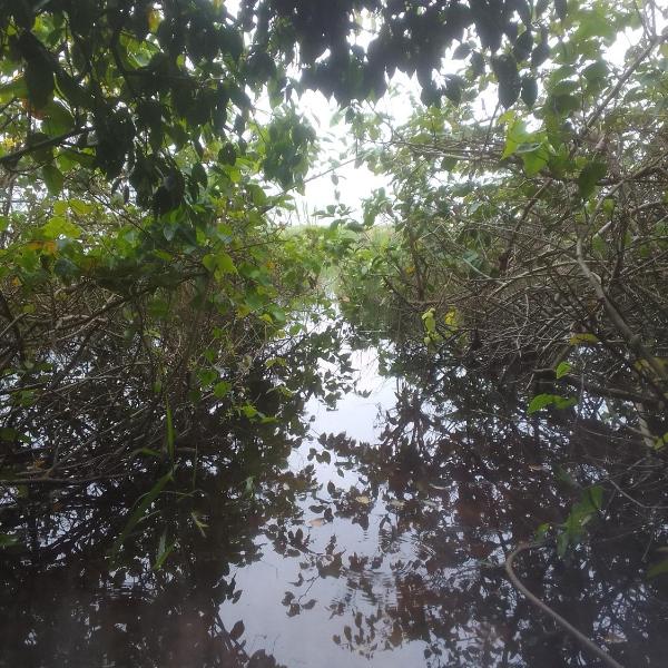 Ibira Camping