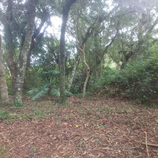 Ibira Camping - Foto 4