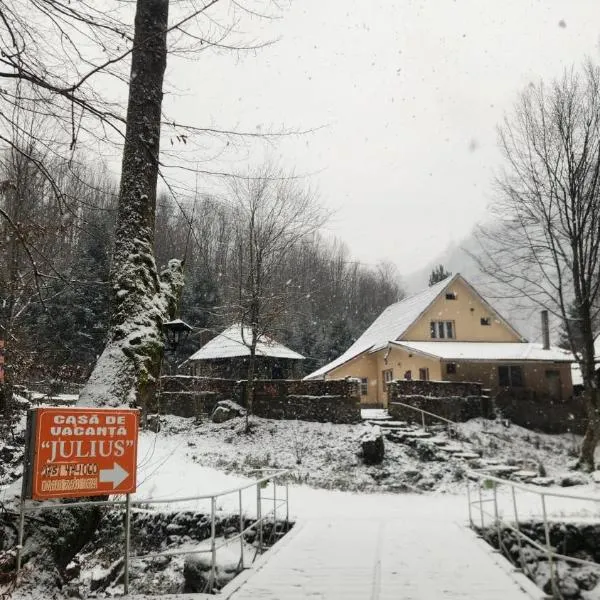 Casa de vacanta Julius، فندق في باديس
