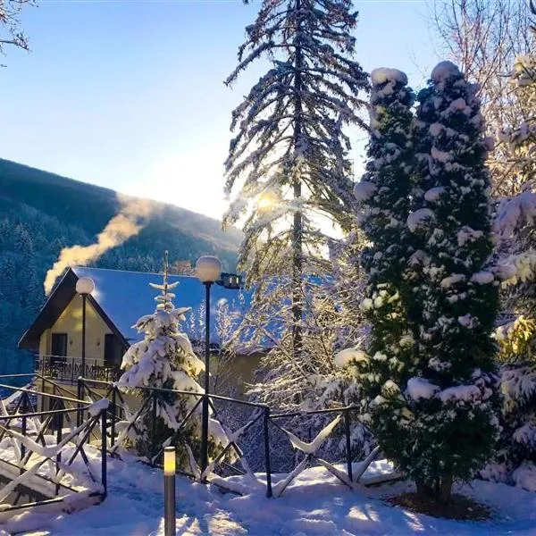 VitaPark Carpaty, hotel in Zhdenievo
