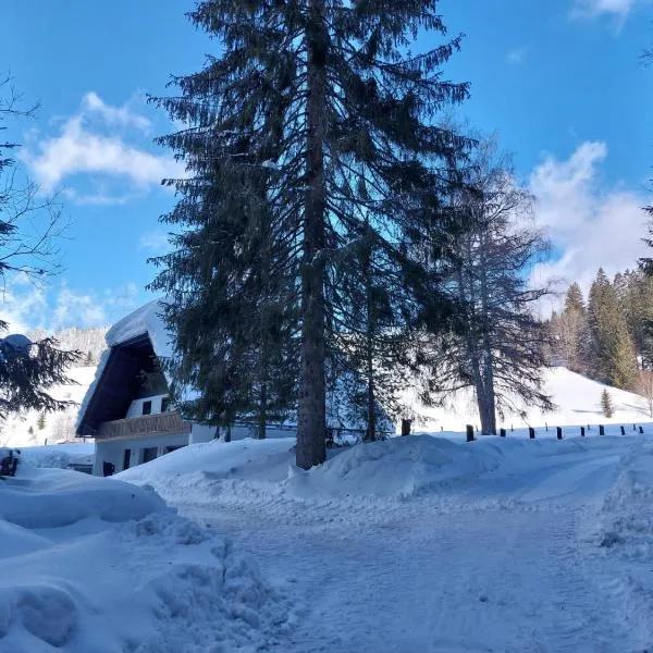 Landhaus am Pyhrn, hotel i Pyhrn