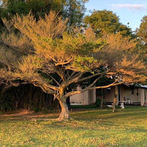 Sítio de Lazer Rancho Curió - Foto 3