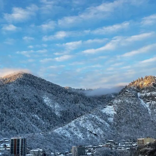 Woodland Borjomi, hotel em Borjomi