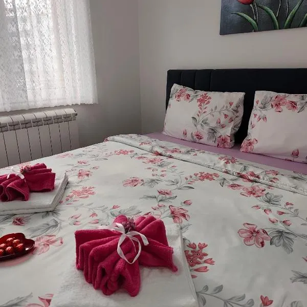 Apartman LARA，皮羅特的飯店