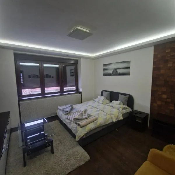 Leon, hotel i Gornji Milanovac