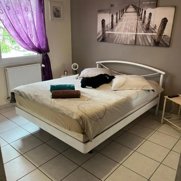 Chambre calme dans villa, hotel i Andrézieux-Bouthéon