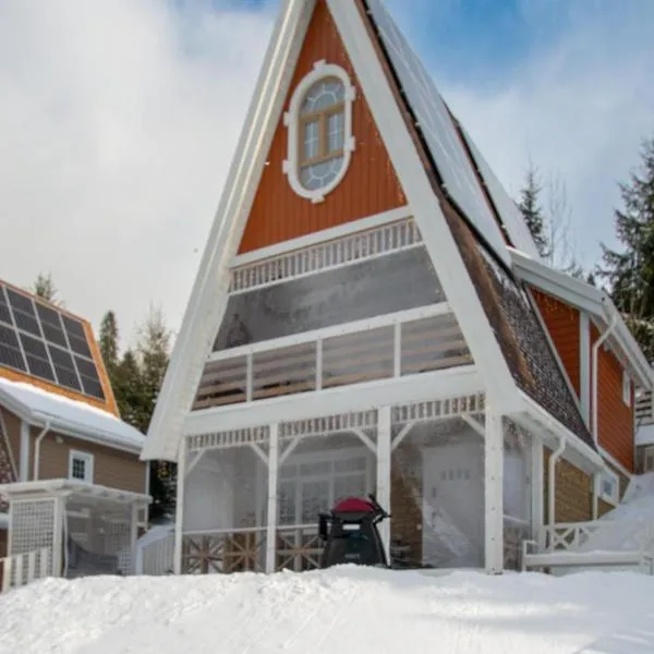 Двокімнатний апартамент на увесь перший поверх котеджу Freeman-3а - це виокремлена незалежна ЧАСТИНА БУДИНКУ з окремим входом з великою терасою та грилем, khách sạn ở Bukovel