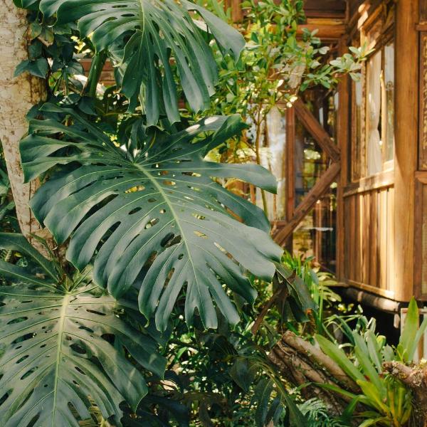 Cabana Guanandi | Natureza e Privacidade