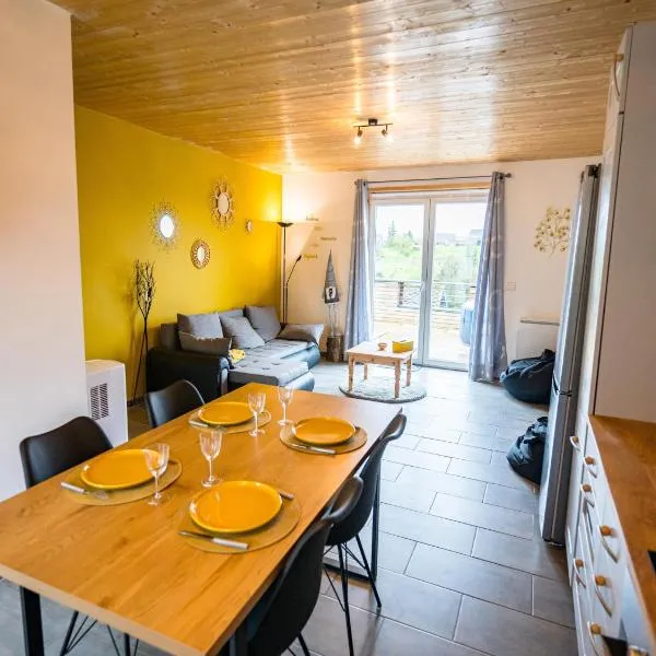 Apartment in Froidchapelle with terrace, hotel en Froidchapelle