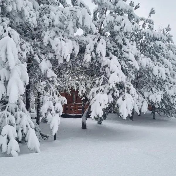 Siedlisko Janopole, hotel u gradu Janopole