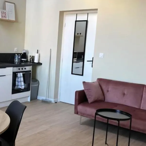 Appartement gare chateaucreux, hotel a Saint-Étienne