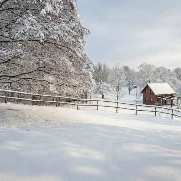 Osada Krasne - Noclegi Blisko Natury, hotel in Bukowiec