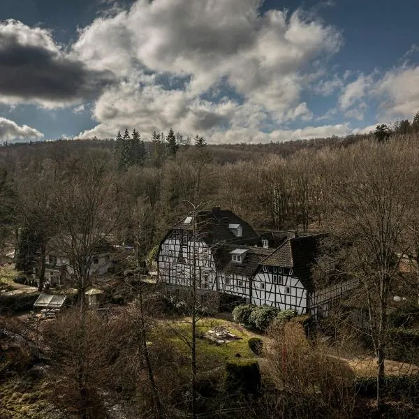 Historisches Mühlendenkmal im Rheingau I 8 Personen, hotel u gradu 'Schlangenbad'
