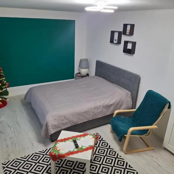 Studio F13, hotel in Topliţa