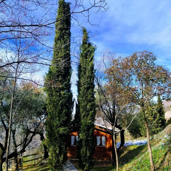 Alixares de Güéjar Sierra - Bungalows, hotel in Güéjar-Sierra