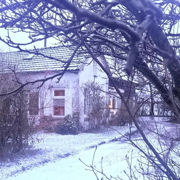 Slowflower โรงแรมในOphemert