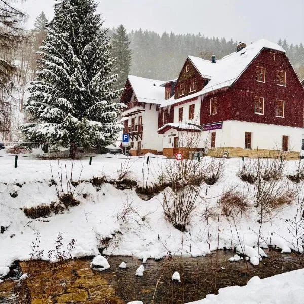 Pension Bystřenka, hotel in Špindlerŭv Mlýn