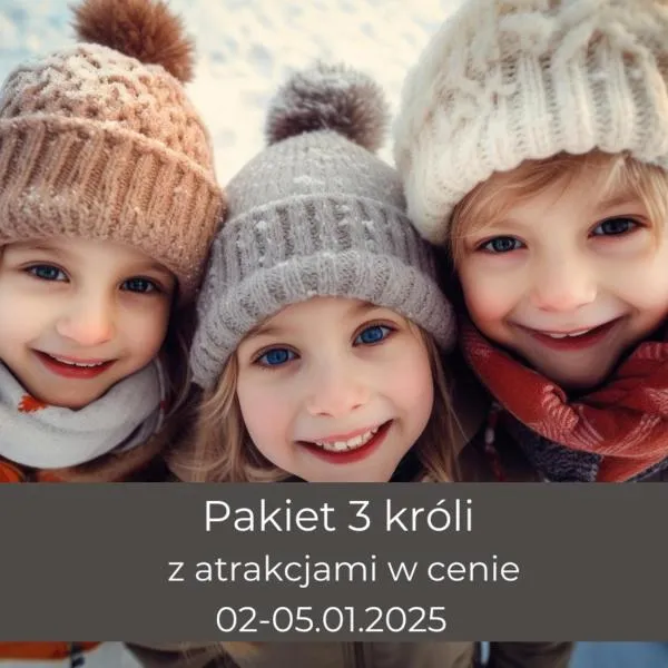 Natural Hotel-Ostróda-basen na III kondygnacji-pokoje wellness z saunami, hotel a Ostróda