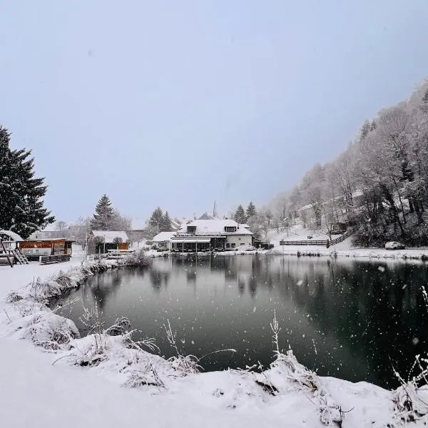 Kozjanski dvor, hotel a Podcetrtek
