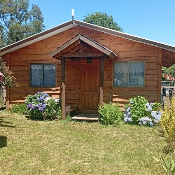 Hospedaje nelly, hotel em Pucón