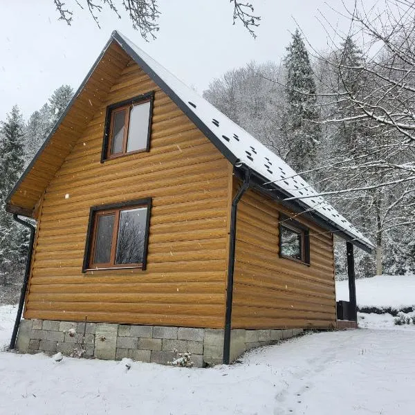 Під горою 2, готель у Шешорах