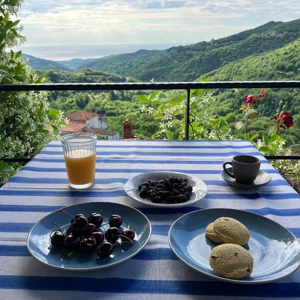 Melivista, hotel en Melívoia