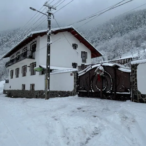 Pensiunea Hanzu Darius, hotel in Gura Rîului