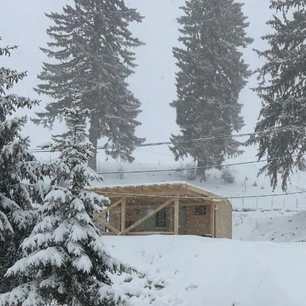 Virajlux, Hotel in Dâmbovicioara