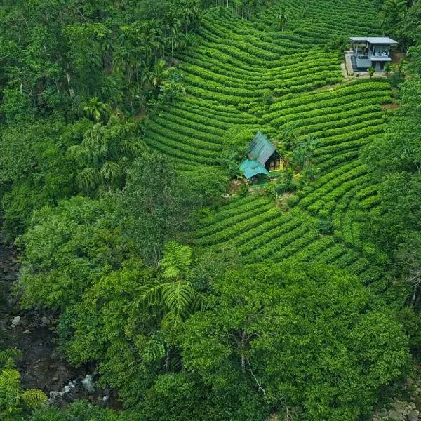 Rainforest cabin，位于代尼耶耶的酒店