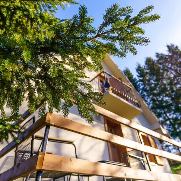 Nabrdo Mountain House, hotel di Kolašin
