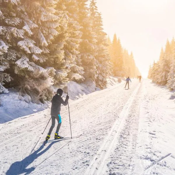 Domki Mazurskie w Ogrodach Złotej Łani Wiartel - Klimatyczne Apartamenty i Pokoje Widokowe, hotel in Wiartel