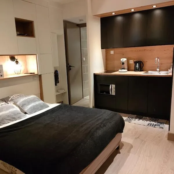 Studio rénové avec parking - Aix les Bains Hyper Centre - 10mn Lac du Bourget, hotel i Aix-les-Bains