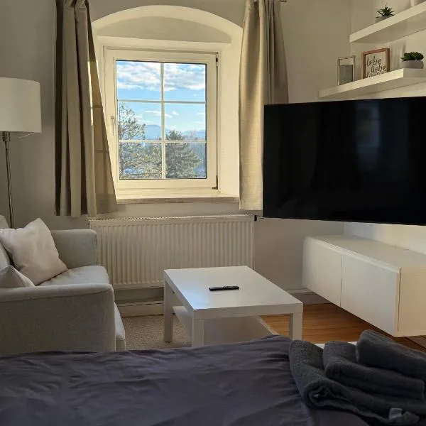 Yellow House Apartments - Top 3, hotel v destinácii Steyr