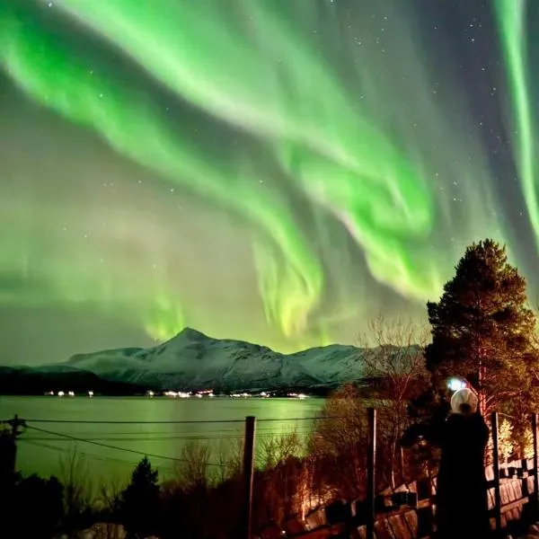 Malangen Lodge, hotel en Mestervik