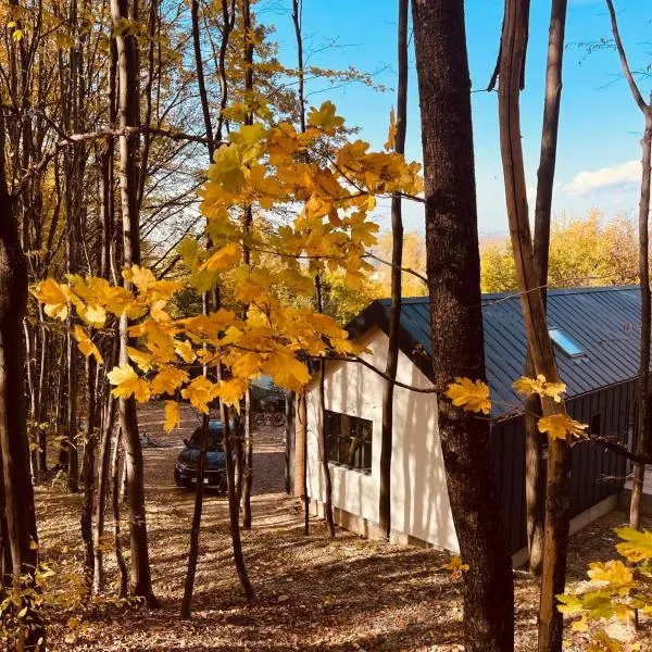 Forester Cabin, hotel di Telega
