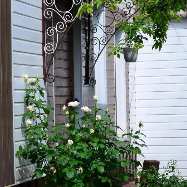 Cottages On Gdantsevskaya Street, hotel di Kudashevka