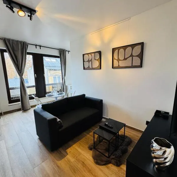 cozy apartment in Brussels, hotel en Bruselas