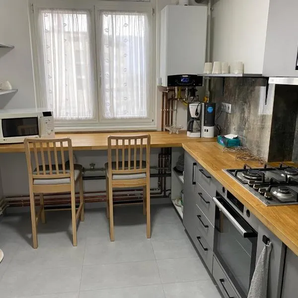 Apartament ultracentral Botis, hotel in Sighetu Marmaţiei
