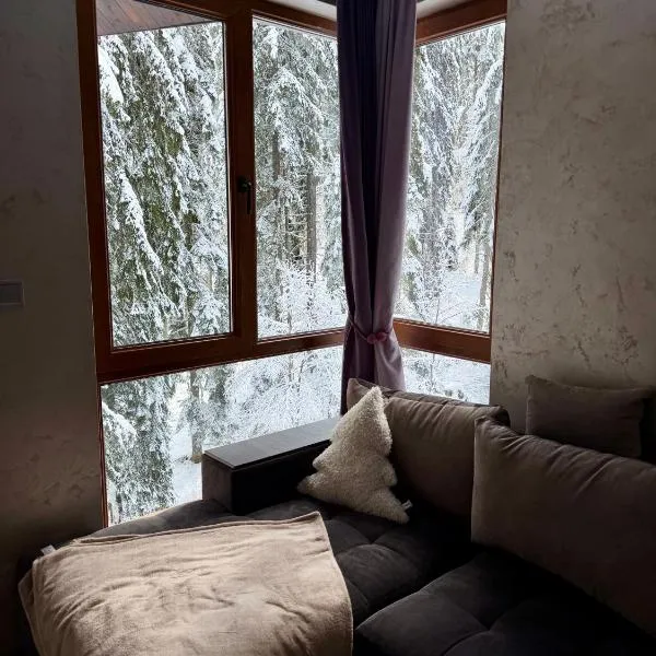 Dream Apart - Iceberg، فندق في بامبوروفو