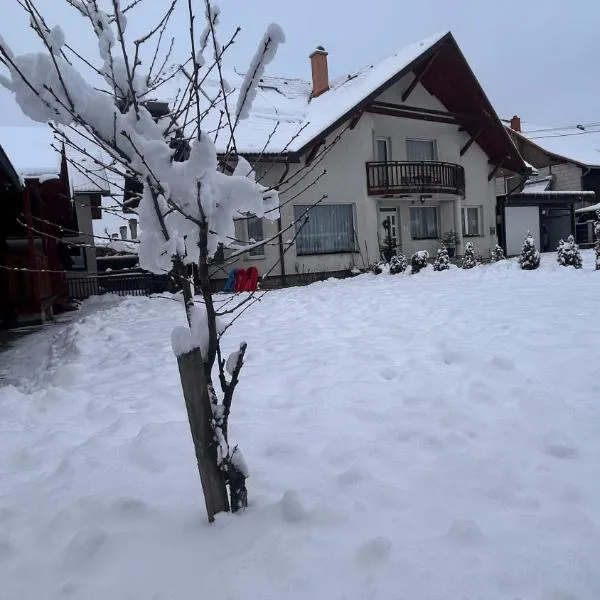 Kincses Panzió, hotel en Praid